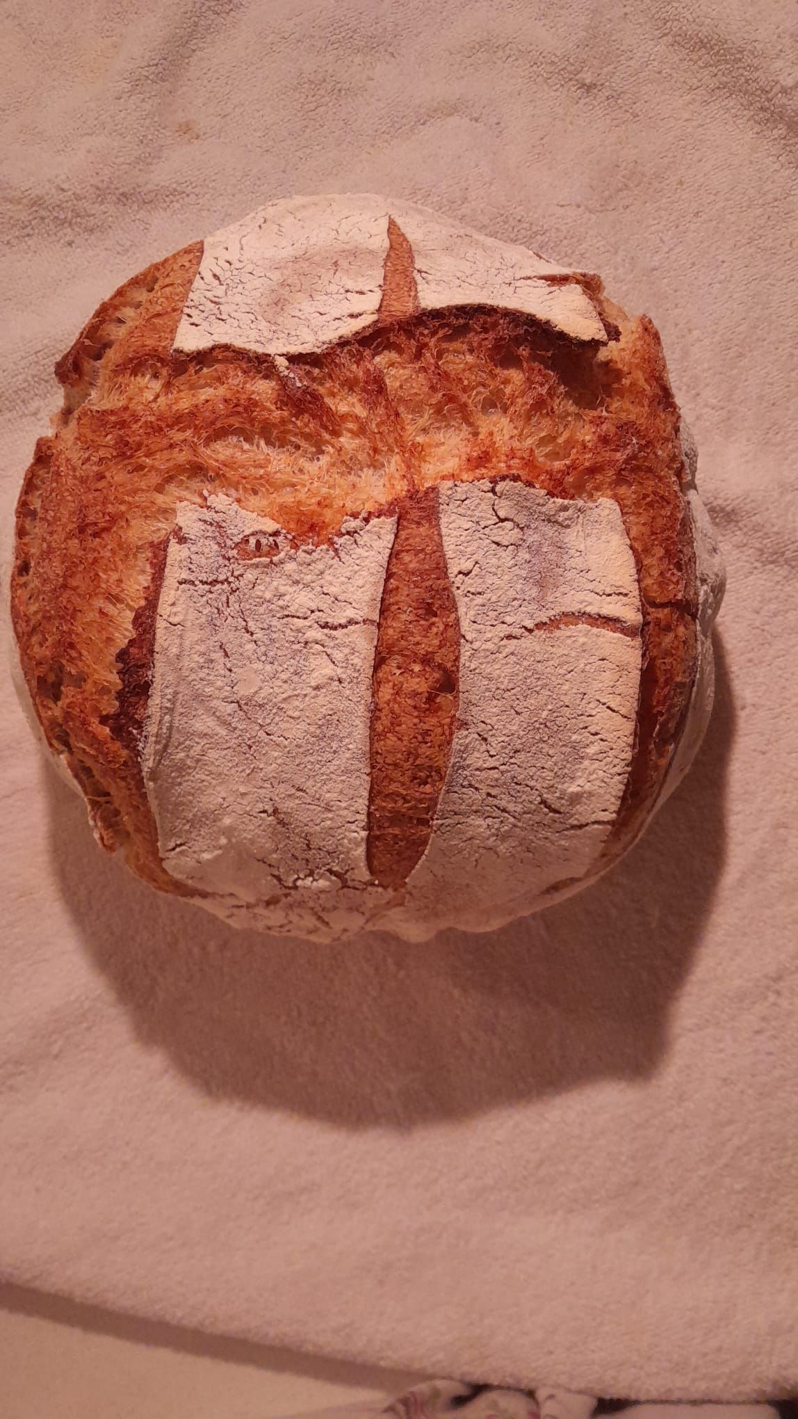 Pane bianco con olive taggiasche